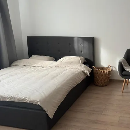 Comfy In * Riga